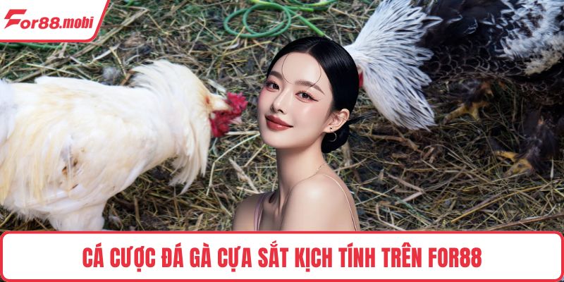 Cá cược đá gà cựa sắt kịch tính trên FOR88