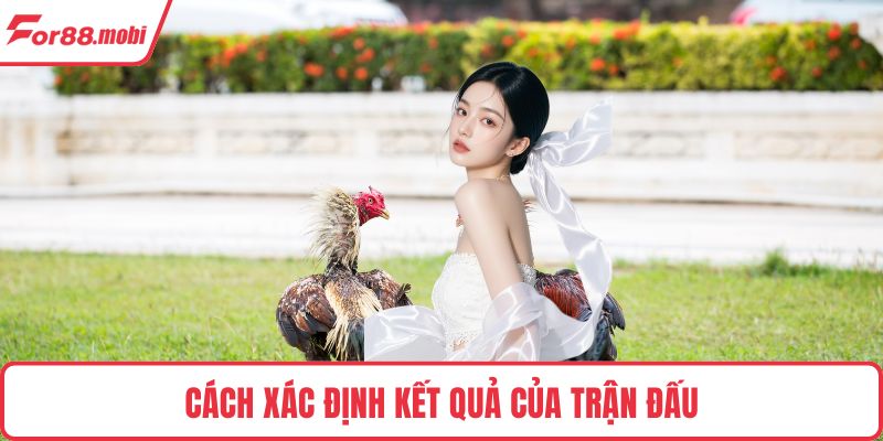 Đá Gà Cựa Dao – Trải Nghiệm Hấp Dẫn Và Cách Cược Thắng Lớn 3 Cách xác định kết quả của trận đấu