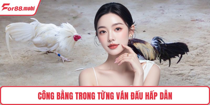 Đá Gà Cựa Dao – Trải Nghiệm Hấp Dẫn Và Cách Cược Thắng Lớn 2 Công bằng trong từng ván đấu hấp dẫn