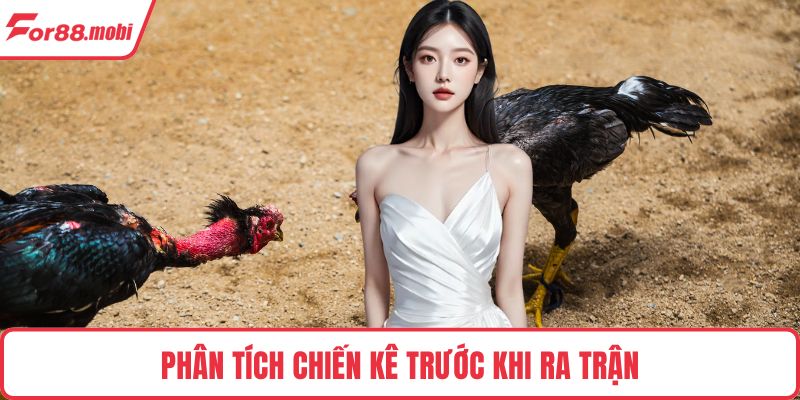 Đá Gà Cựa Sắt – Trải Nghiệm Cuốn Hút Và Cách Chơi Thắng Lớn 4 Phân tích chiến kê trước khi ra trận