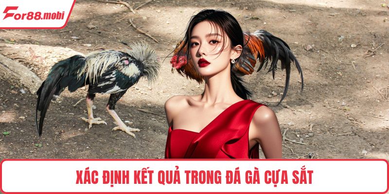 Đá Gà Cựa Sắt – Trải Nghiệm Cuốn Hút Và Cách Chơi Thắng Lớn 3 Xác định kết quả trong đá gà cựa sắt