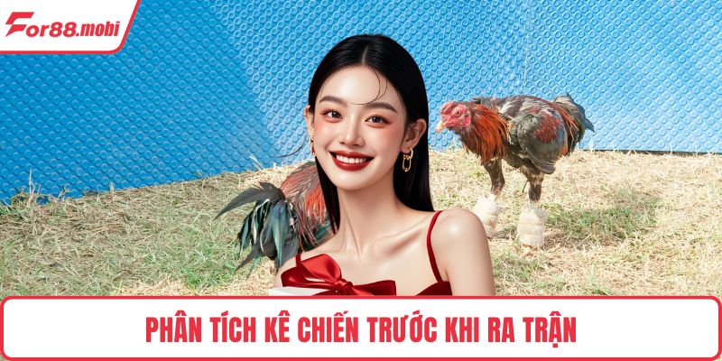 Đá Gà Nòi – Luật Chơi, Sức Hút Và Bí Quyết Cược Thắng Lớn 4 Phân tích kê chiến trước khi ra trận