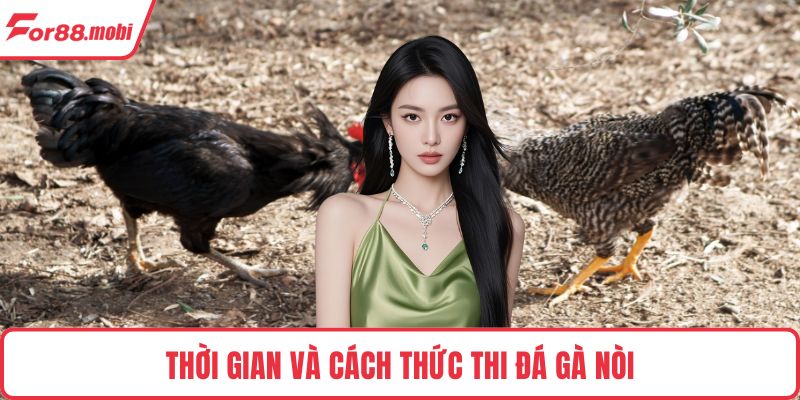 Đá Gà Nòi – Luật Chơi, Sức Hút Và Bí Quyết Cược Thắng Lớn 3 Thời gian và cách thức thi đá gà nòi
